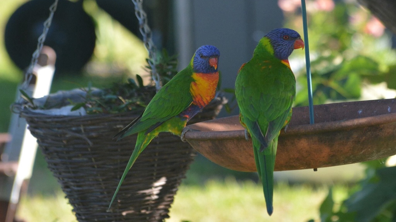 Photo of Others in Tenterfield