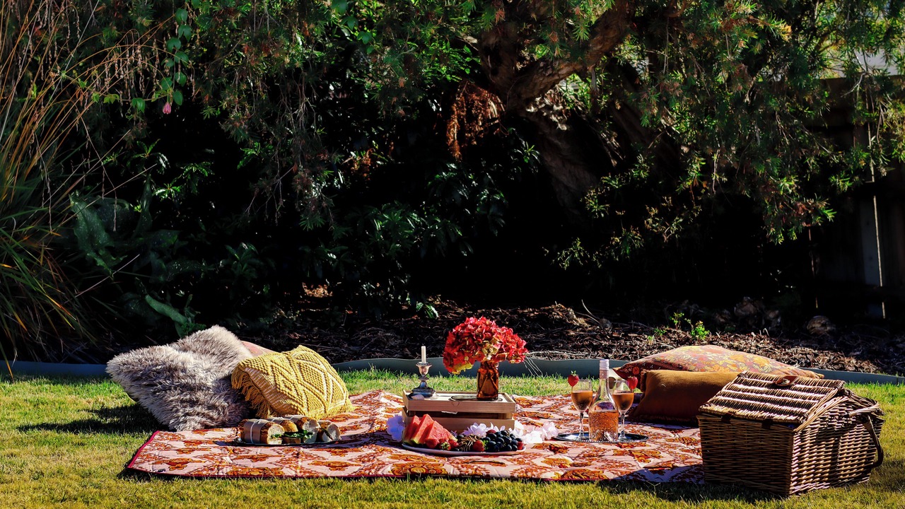 Photo of Outdoor in Penguin