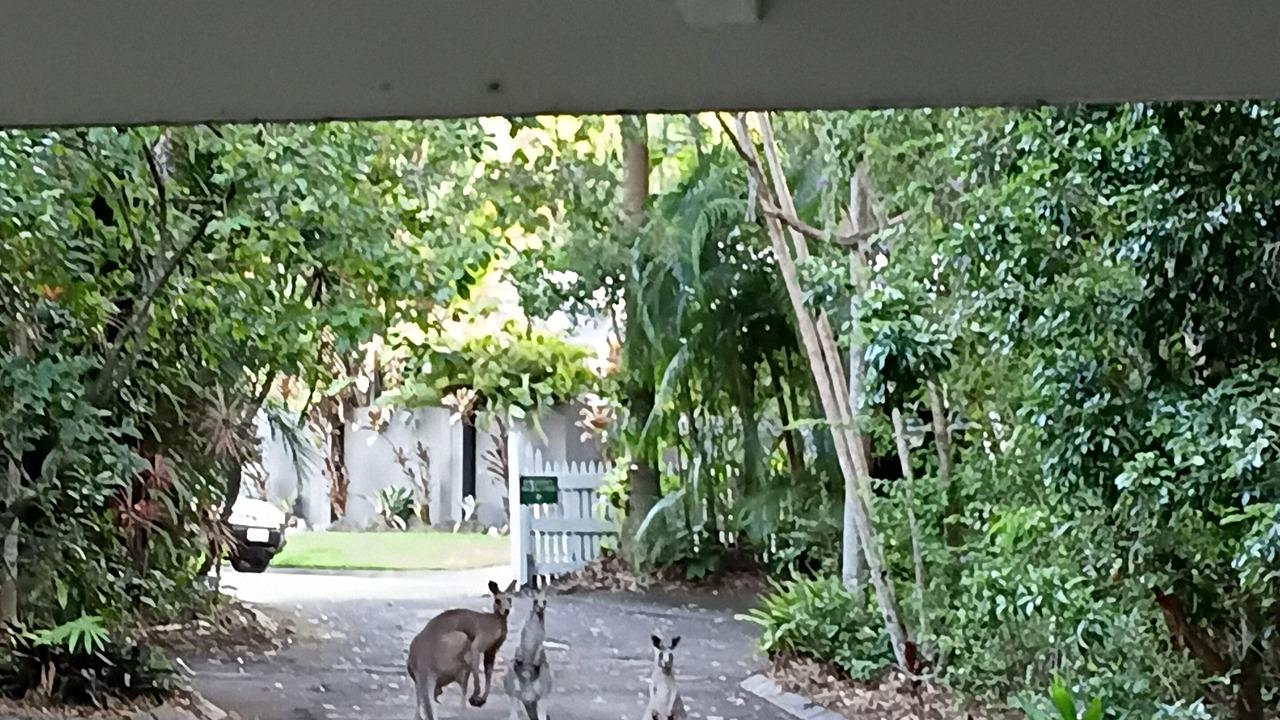 Photo of Outdoor in Buderim