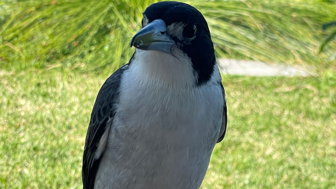 Photo of Others in Bundeena