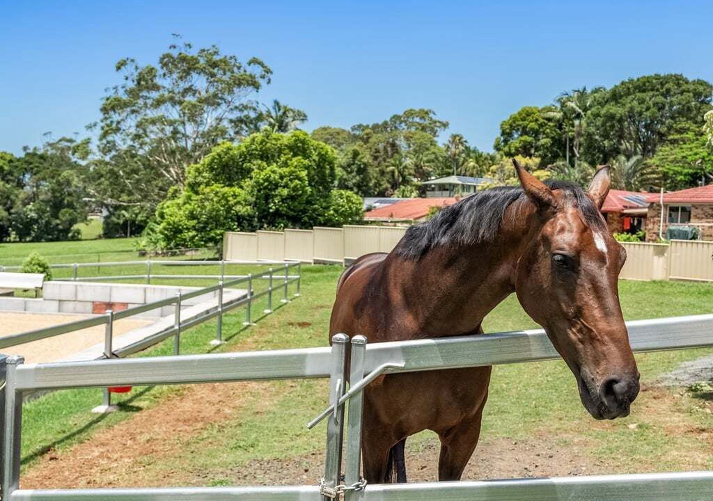 Photo of Others in Lennox Head