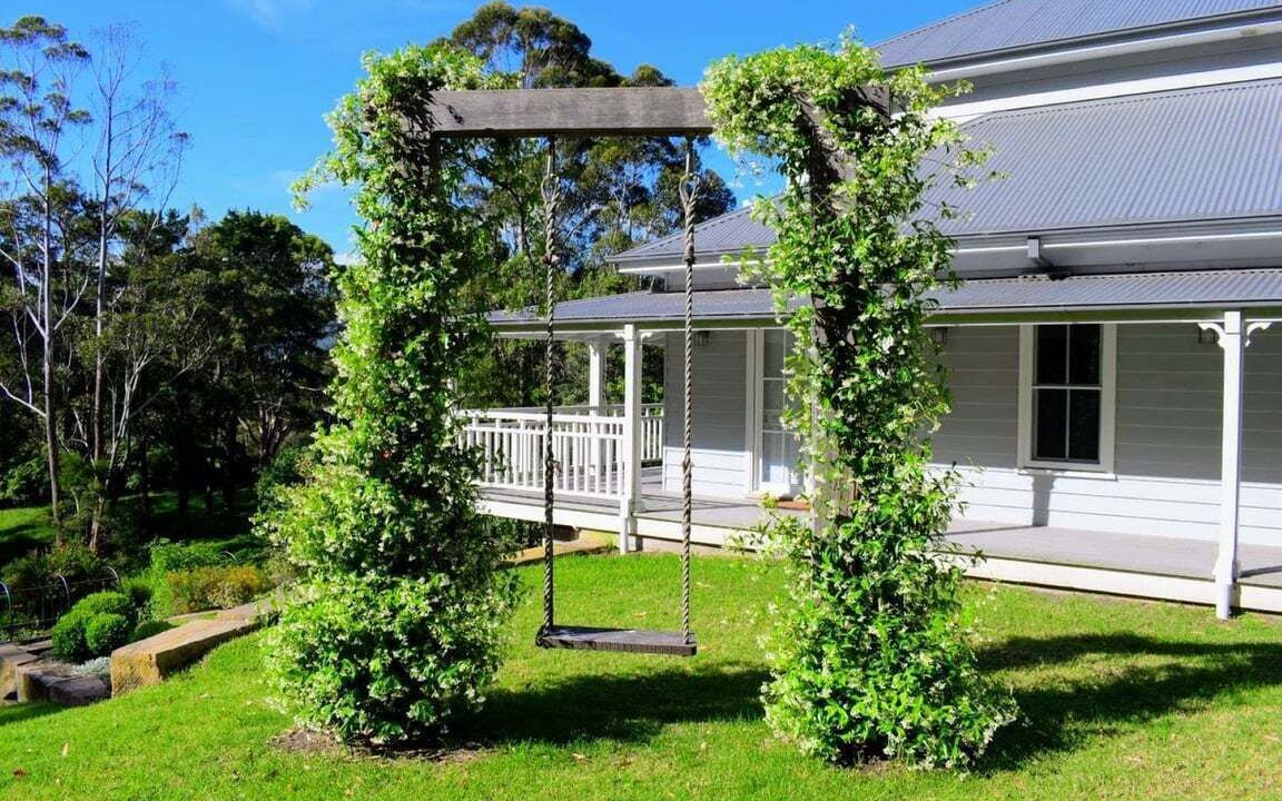 Photo of Outdoor in Berry