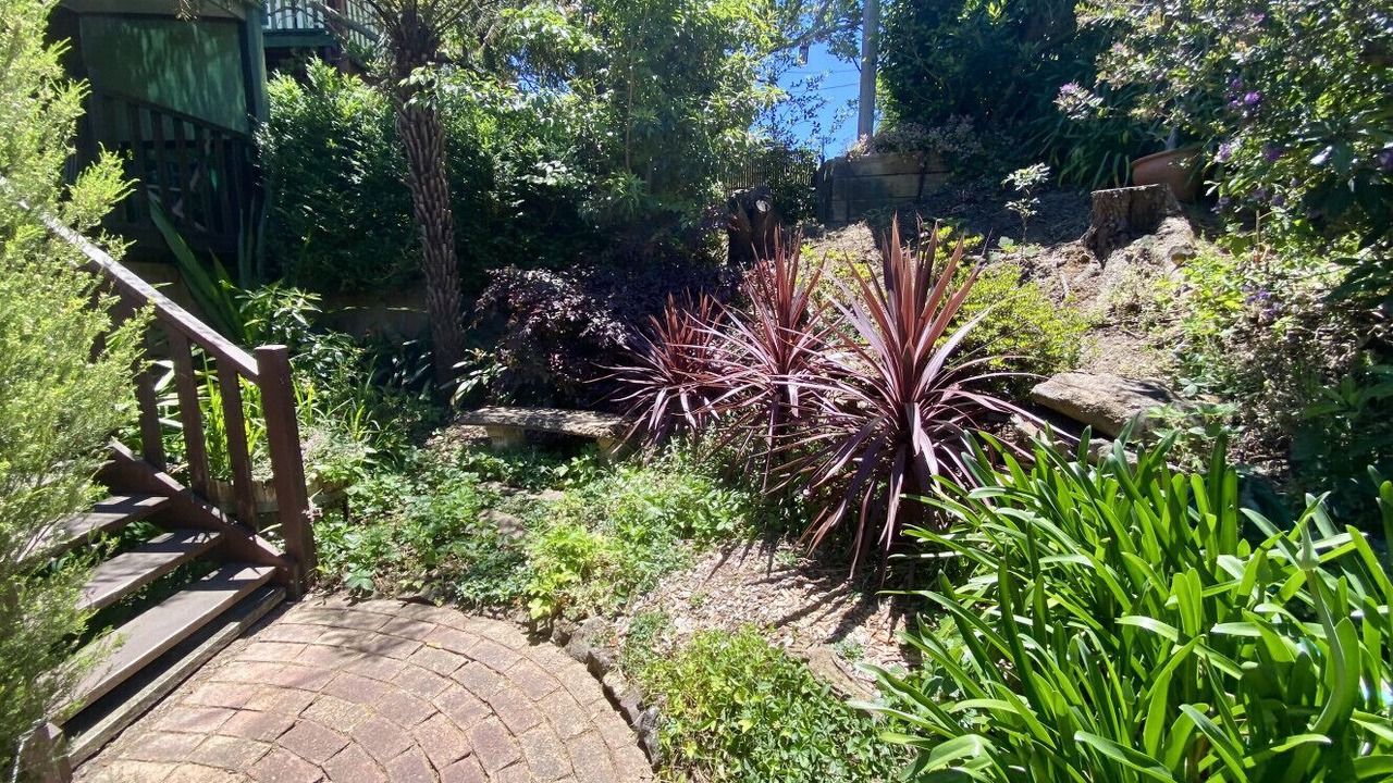 Photo of Outdoor in Katoomba