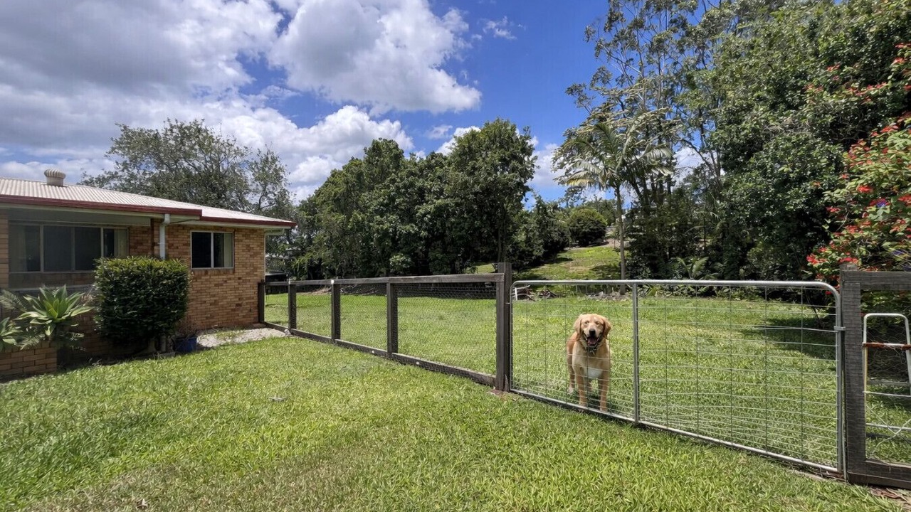 Photo of Others in Nambour
