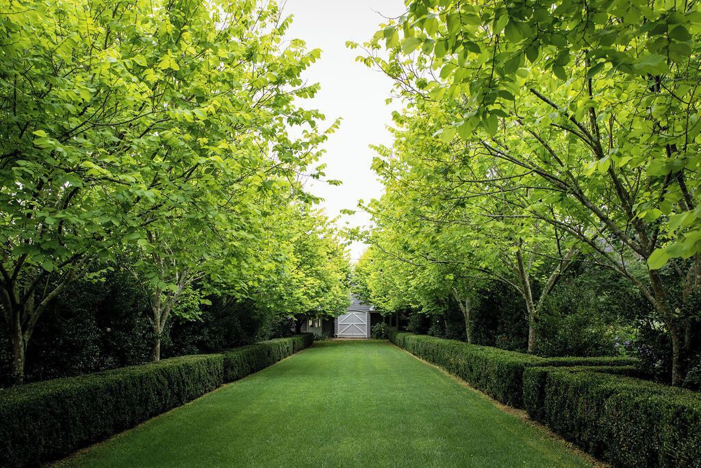 Photo of Outdoor in Arcadia
