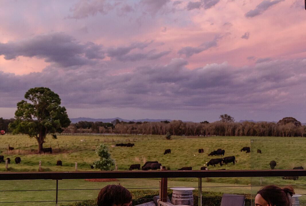 Photo of Outdoor in Taree