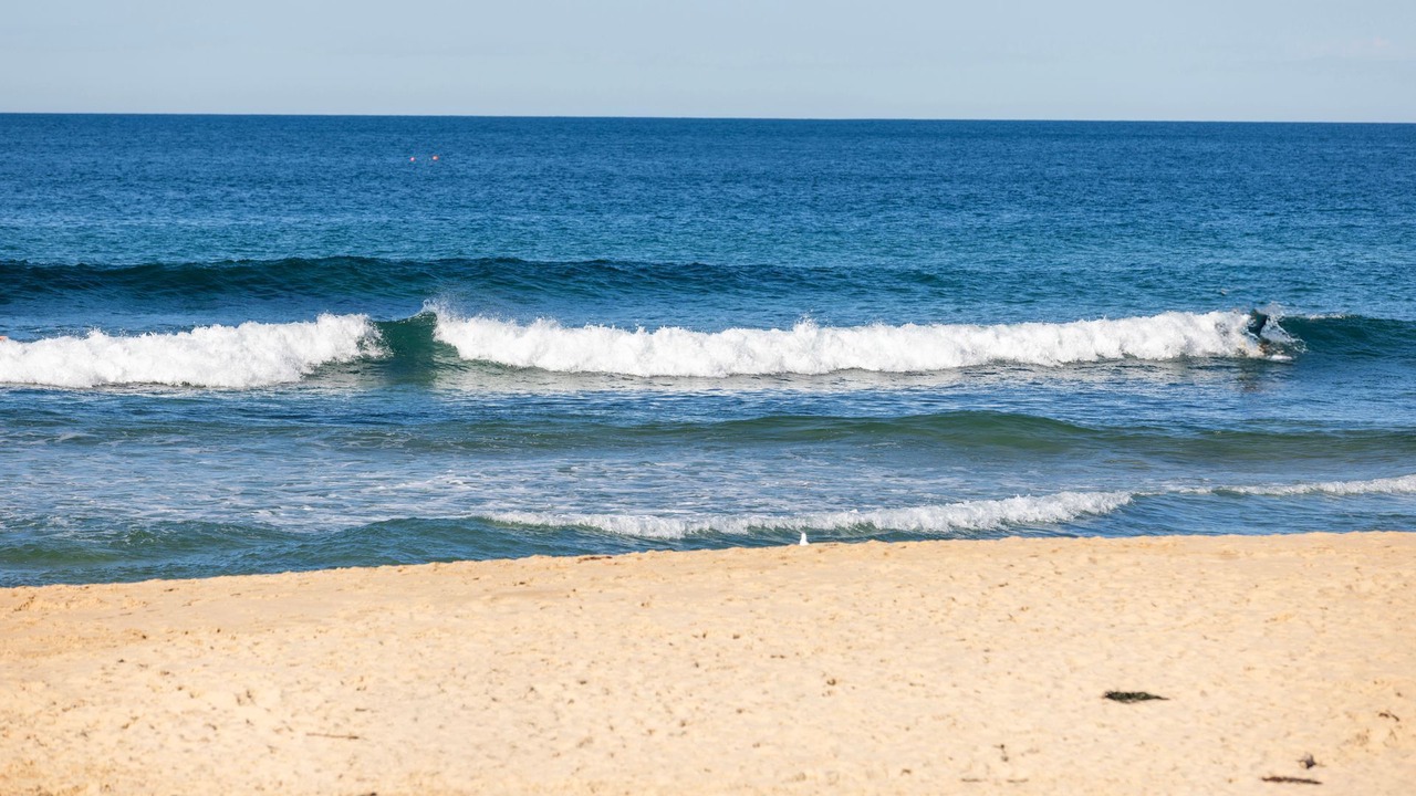 Photo of Others in Scarborough