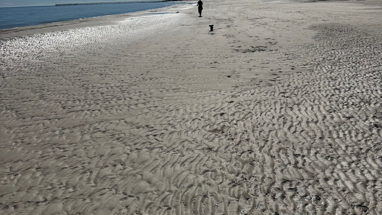 Photo of Others in Port Hughes