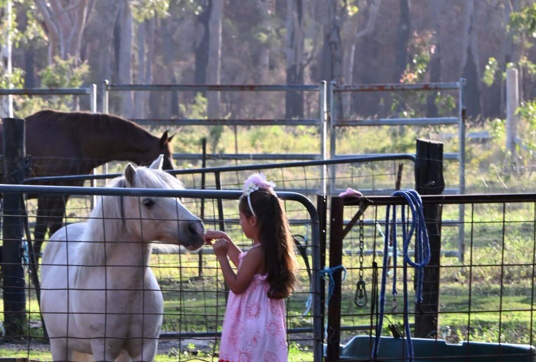 Photo of Others in Nabiac