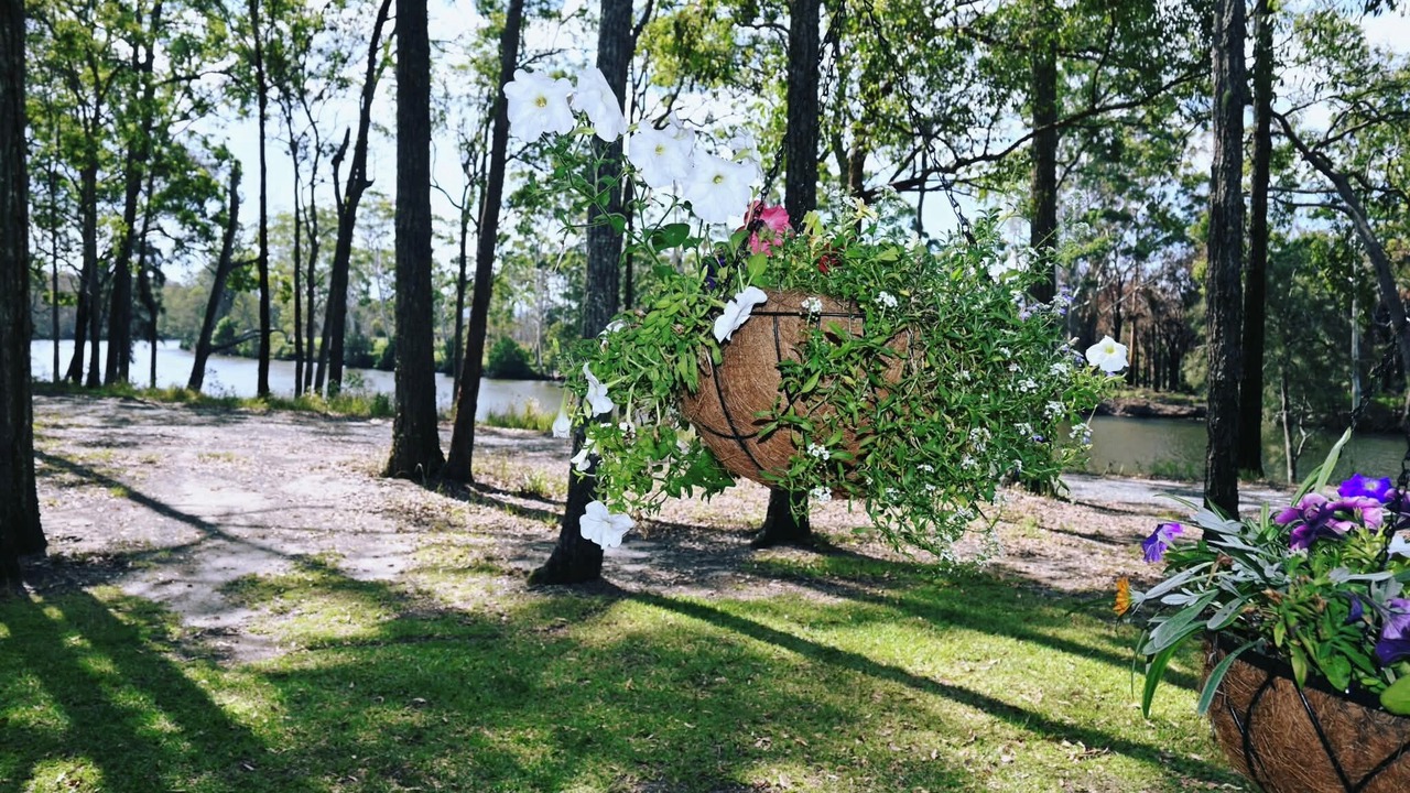 Photo of Outdoor in Nabiac