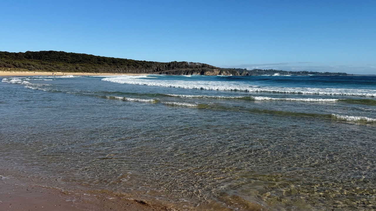 Photo of Others in Potato Point
