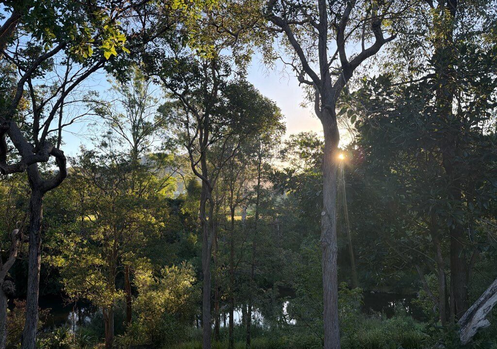 Photo of Others in Conondale
