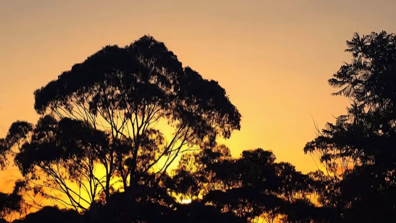 Photo of Others in Conondale