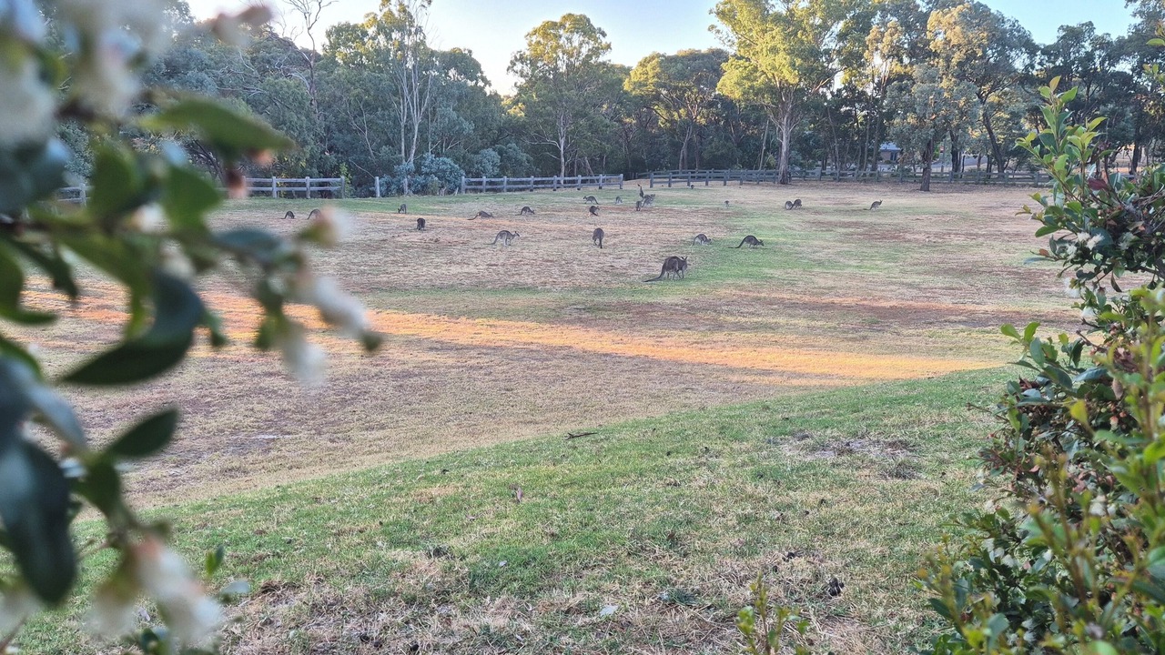 Photo of Outdoor in Yarrambat