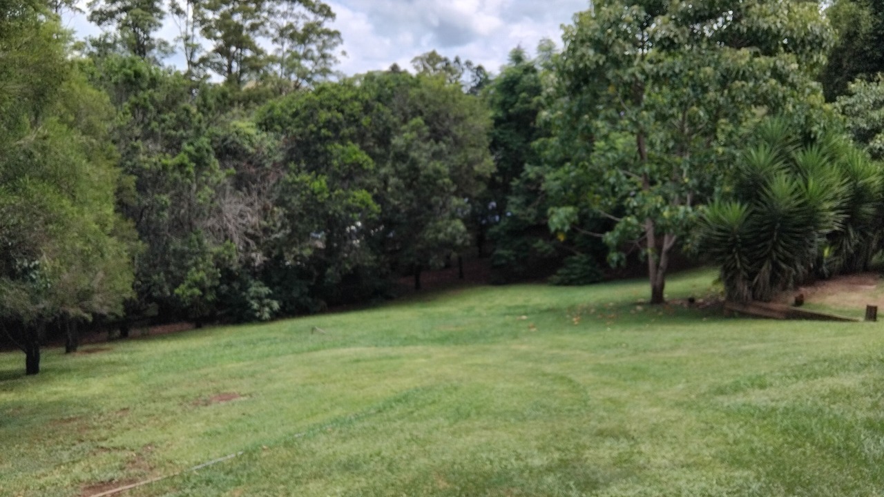 Photo of Others in North Maleny