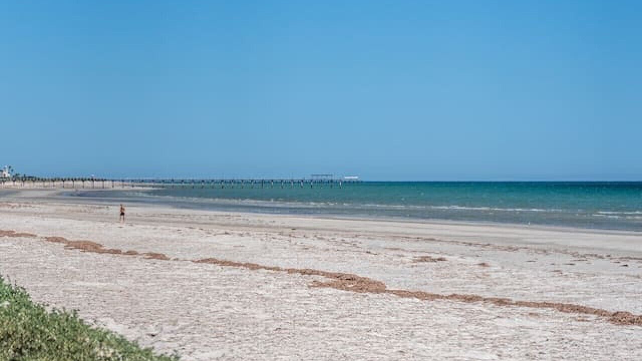 Photo of Others in Largs North