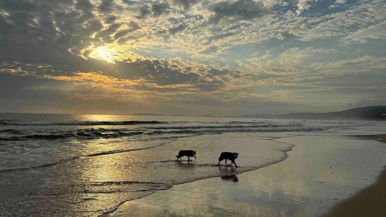 Photo of Others in Rainbow Beach