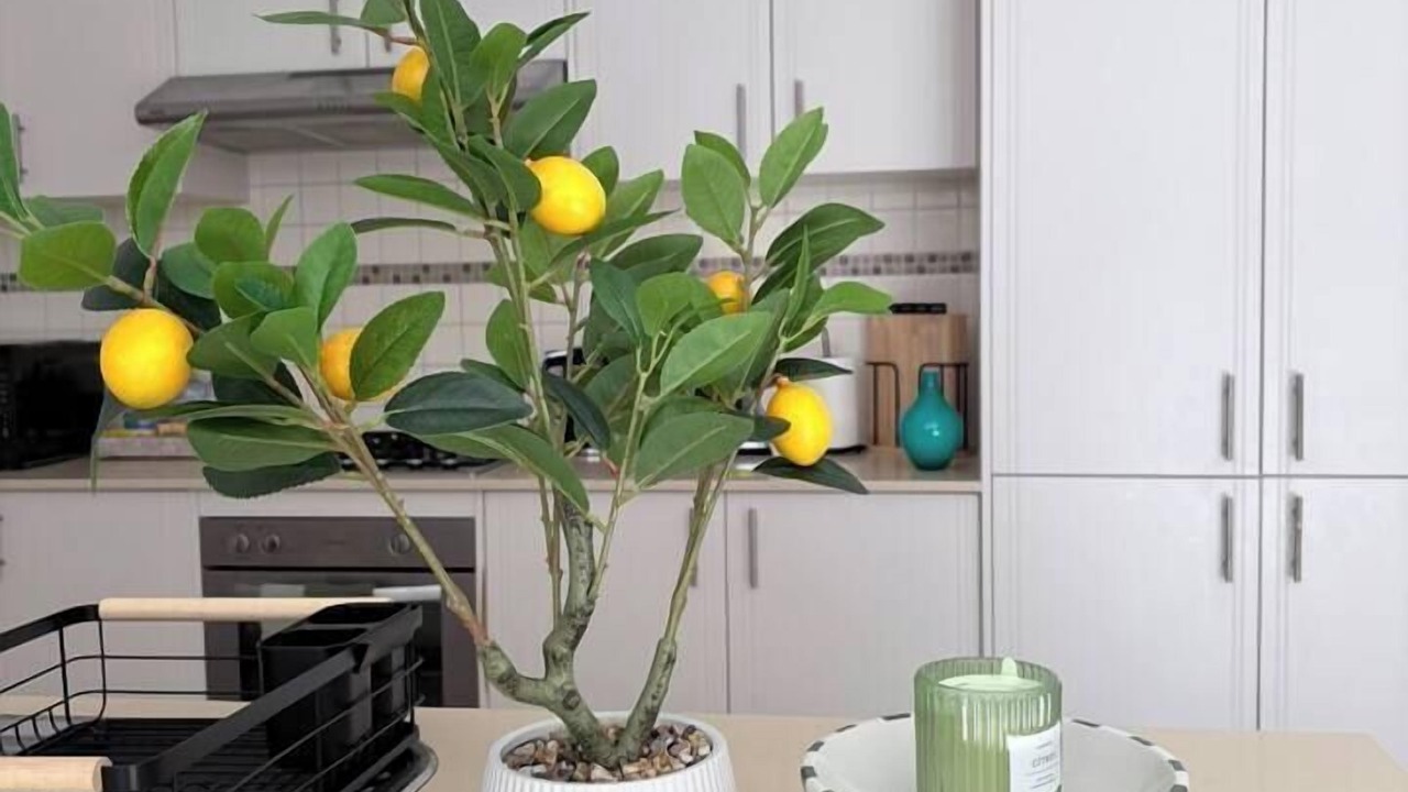 Photo of Kitchen in Kellyville Ridge