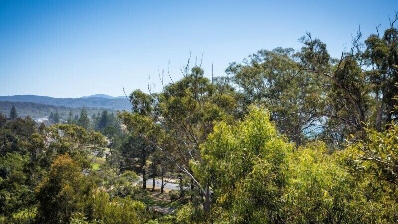 Photo of Others in Tathra