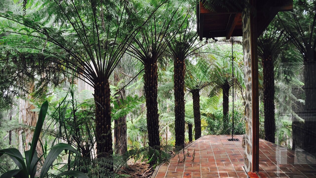 Photo of Outdoor in Healesville