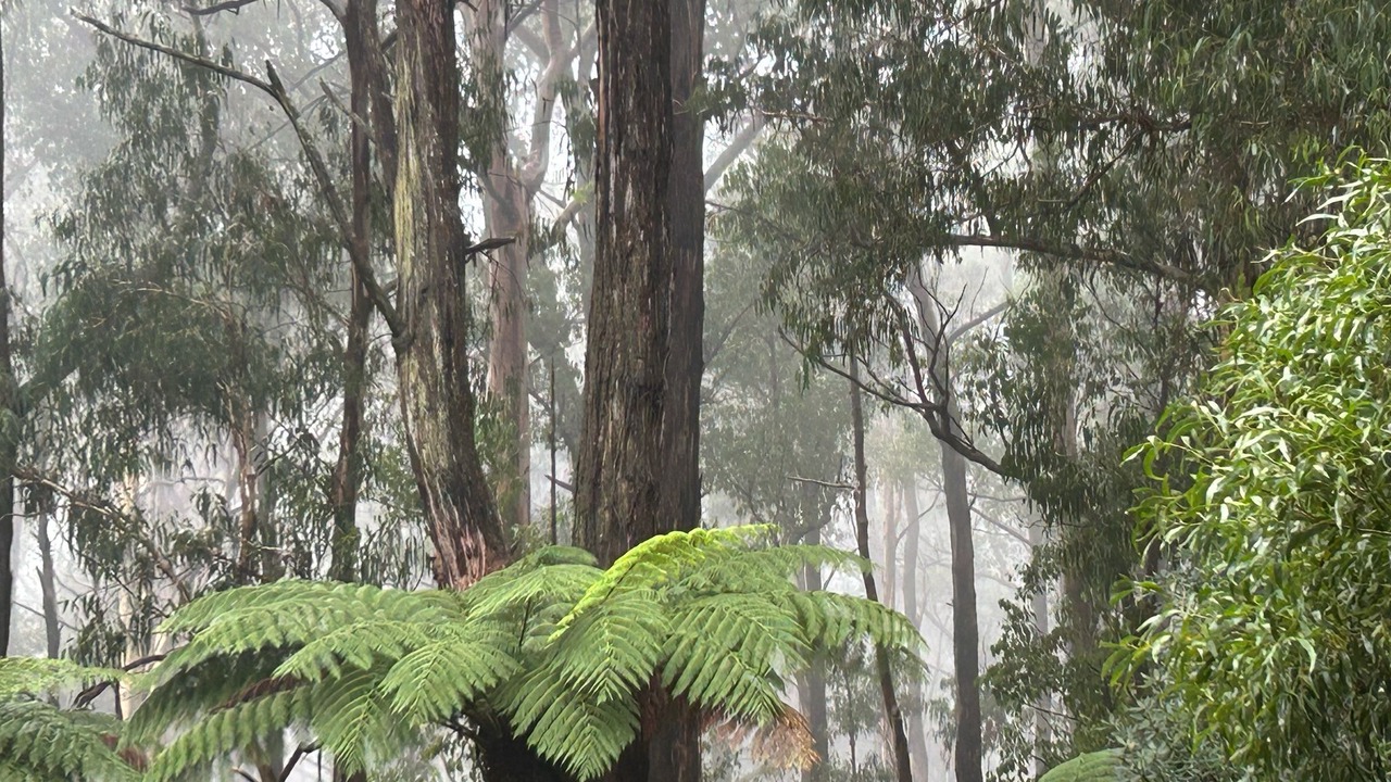 Photo of Others in Healesville