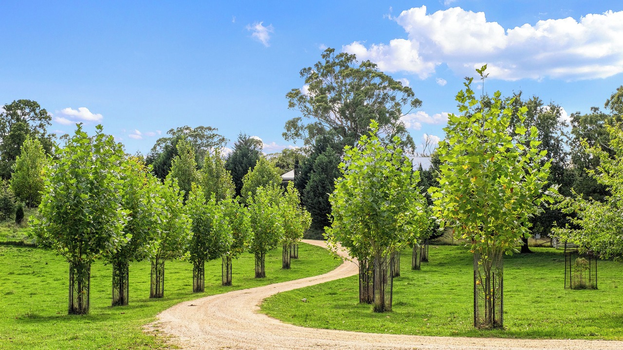 Photo of Outdoor in Sodwalls