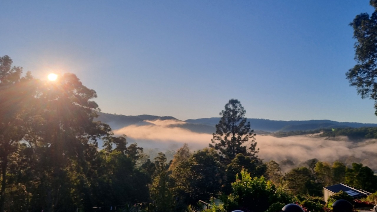 Photo of Others in Canungra