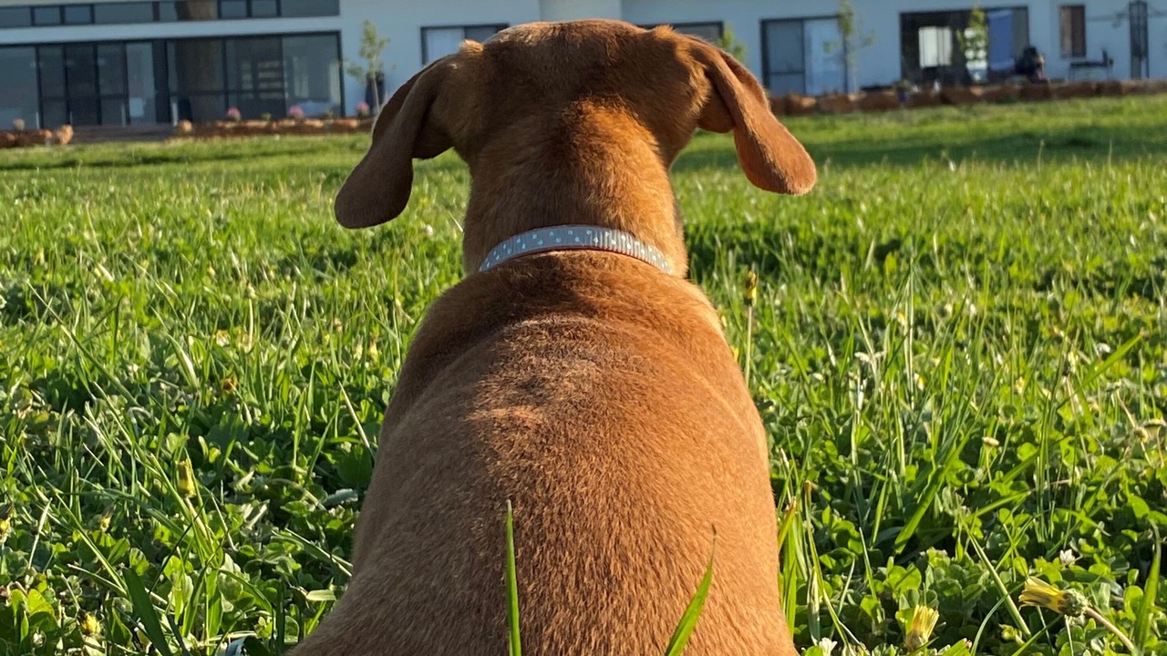 Photo of Outdoor in Metricup