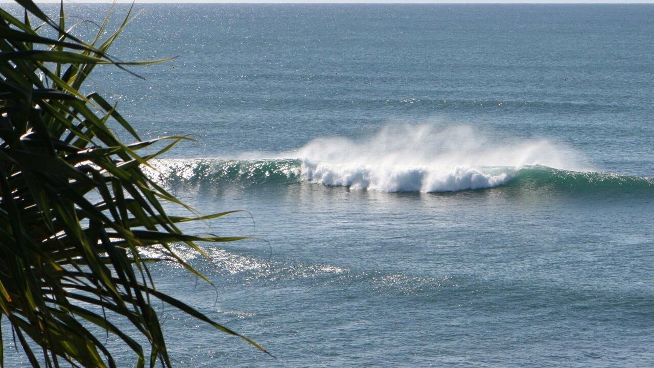 Photo of Others in Moffat Beach