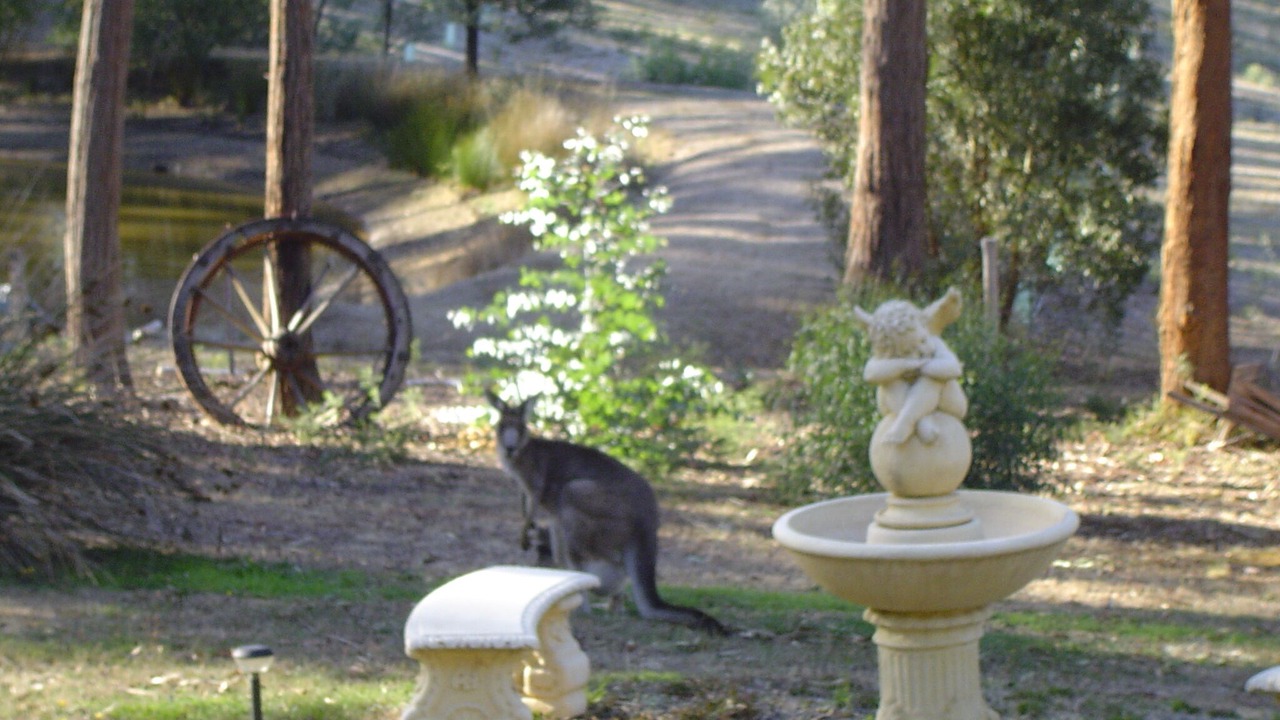 Photo of Outdoor in Hepburn