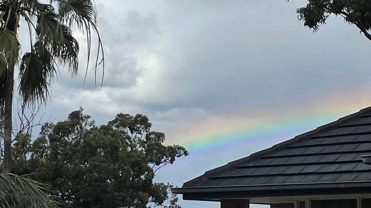 Photo of Others in Neutral Bay