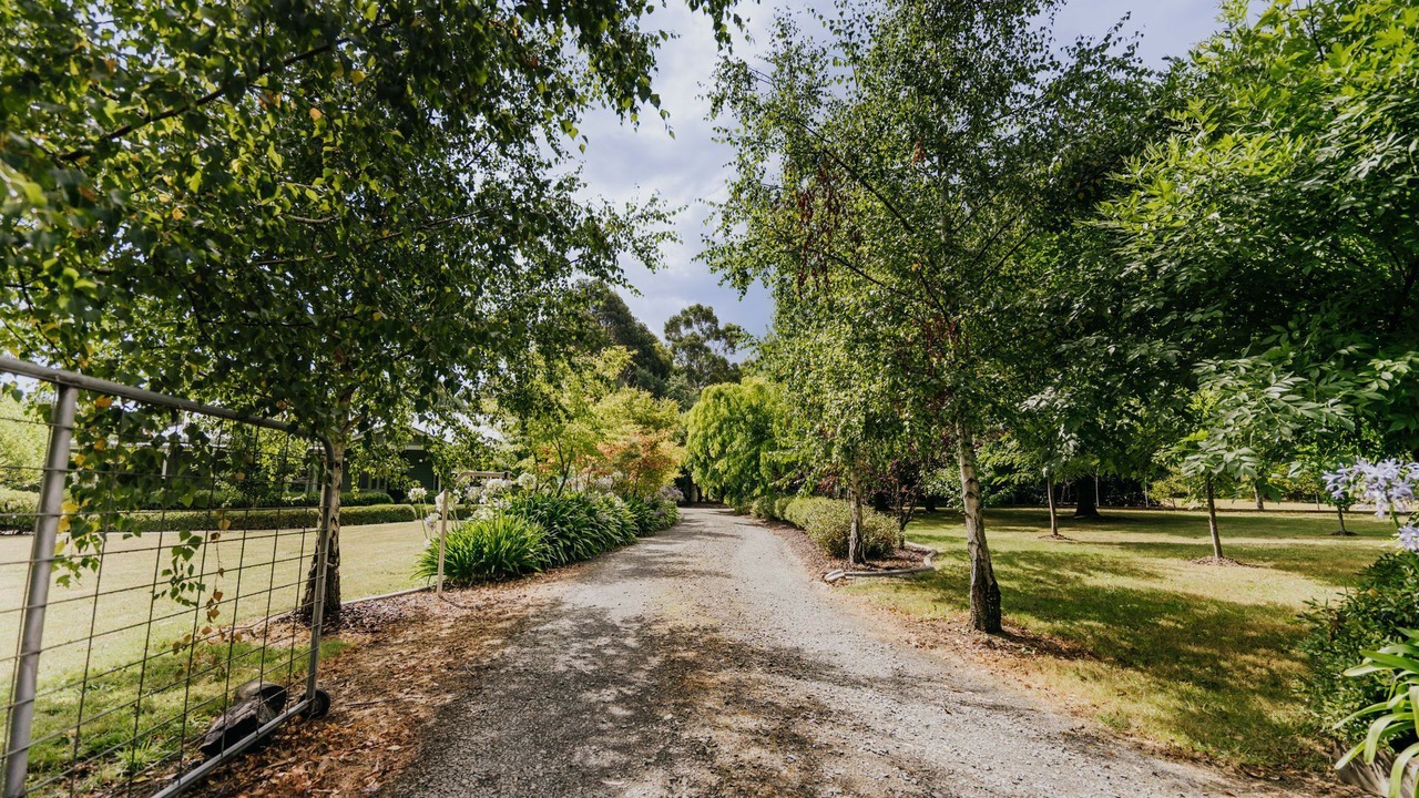 Photo of Outdoor in Muskvale