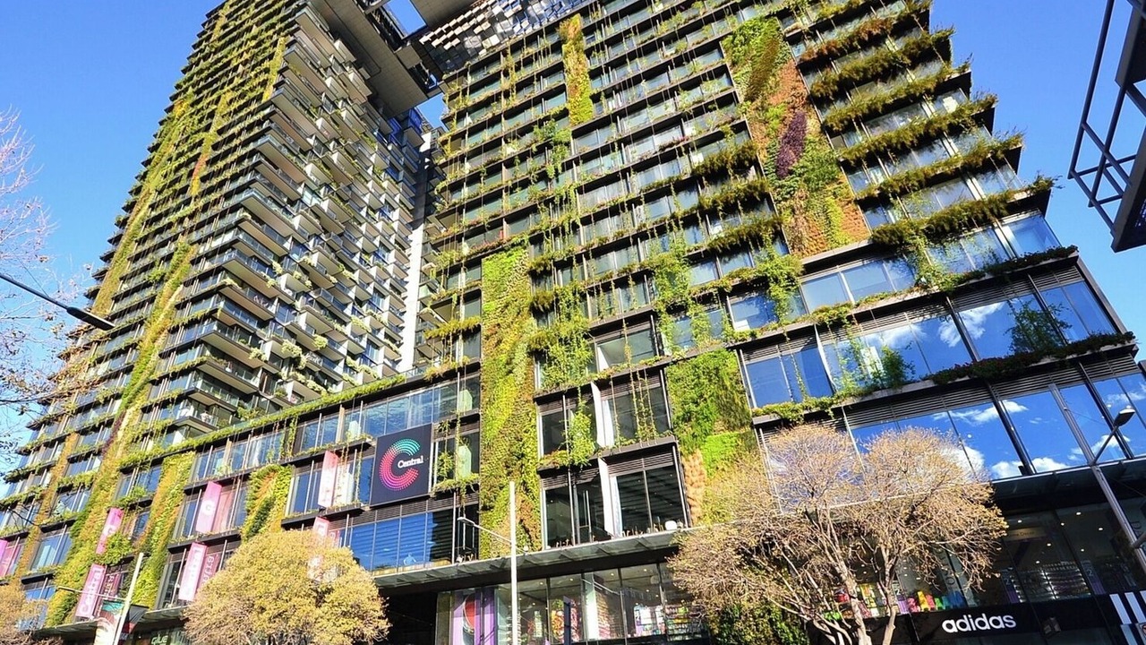 Photo of Outdoor in Redfern