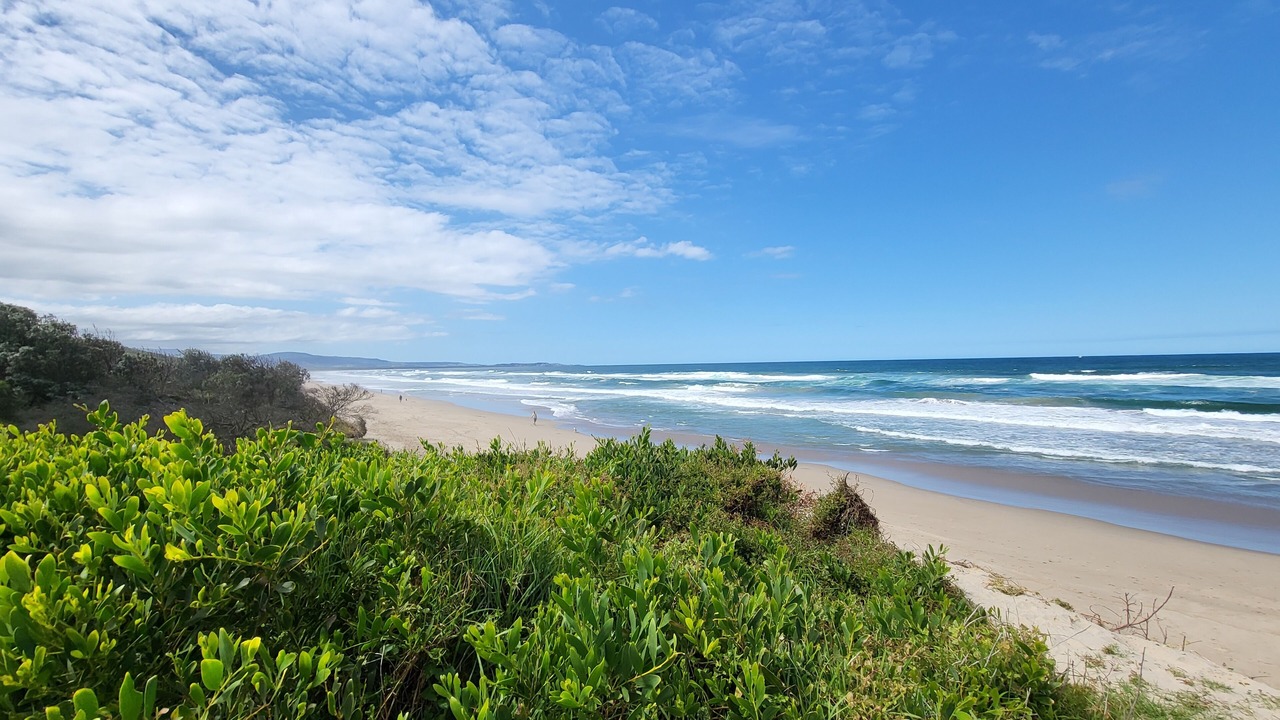 Photo of Others in Shoalhaven Heads
