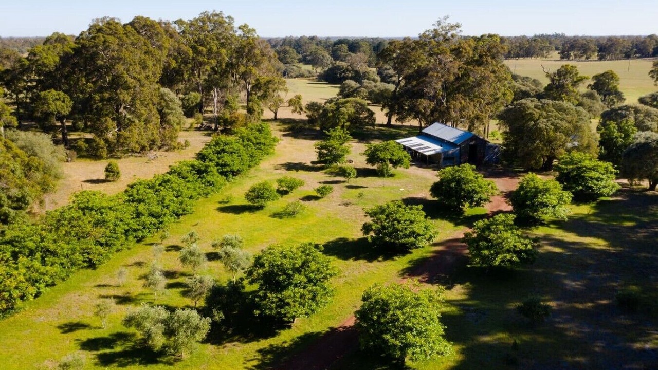 Photo of Outdoor in Rosa Brook