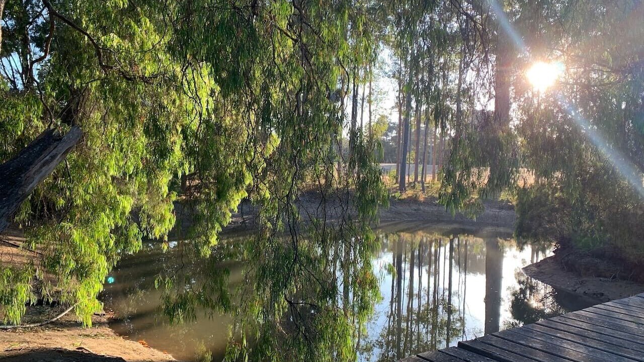 Photo of Others in Rosa Brook