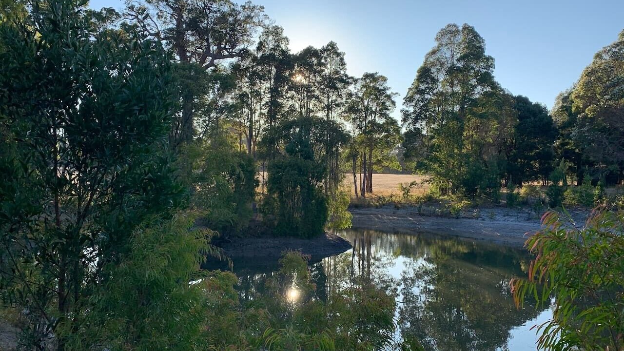 Photo of Others in Rosa Brook