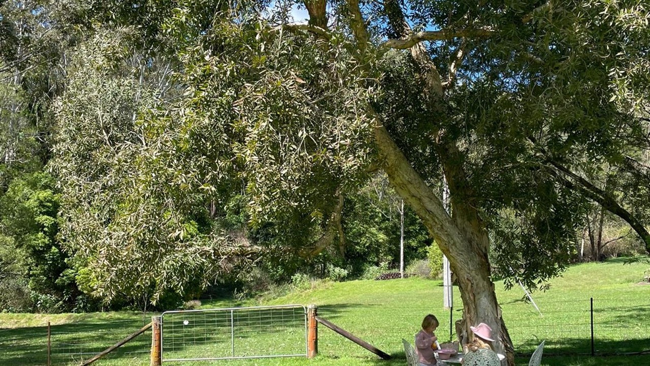 Photo of Outdoor in Kangaroo Valley