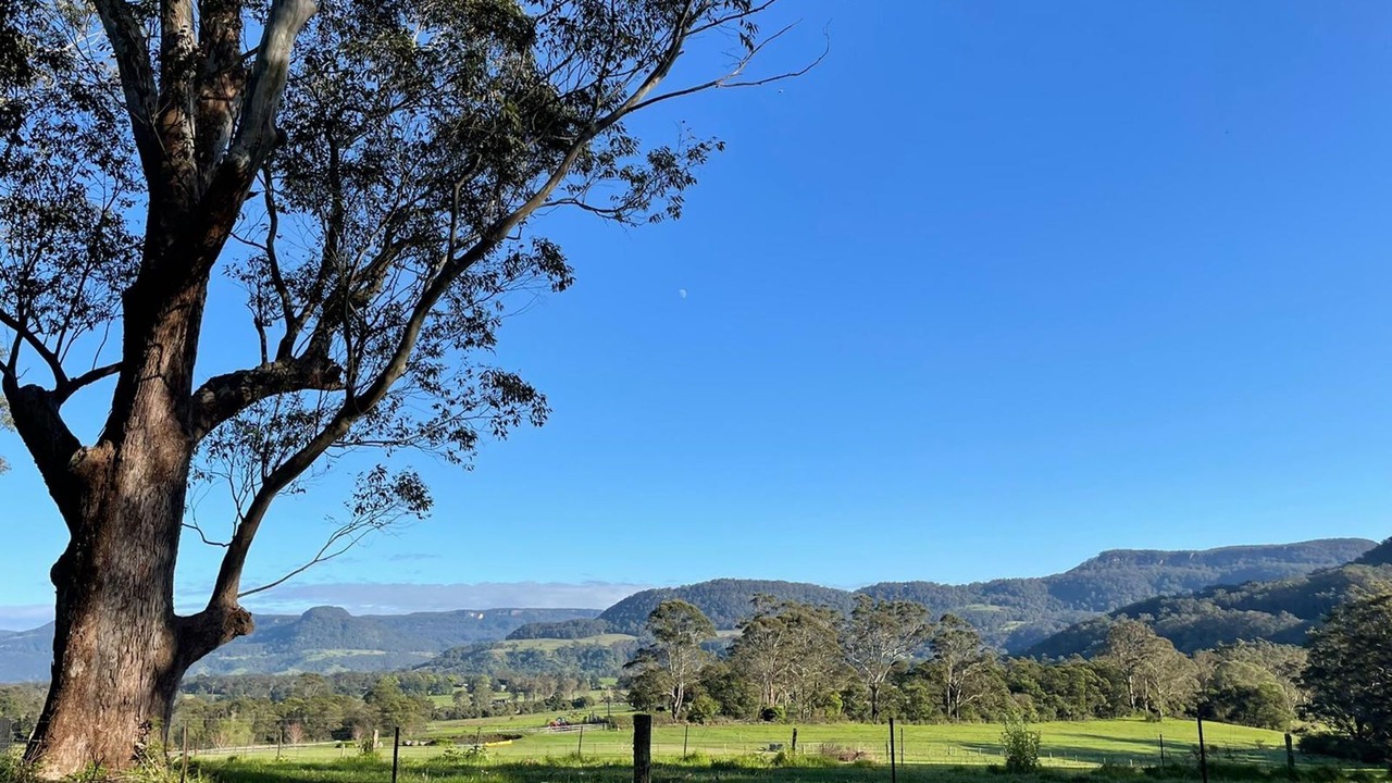 Photo of Others in Kangaroo Valley