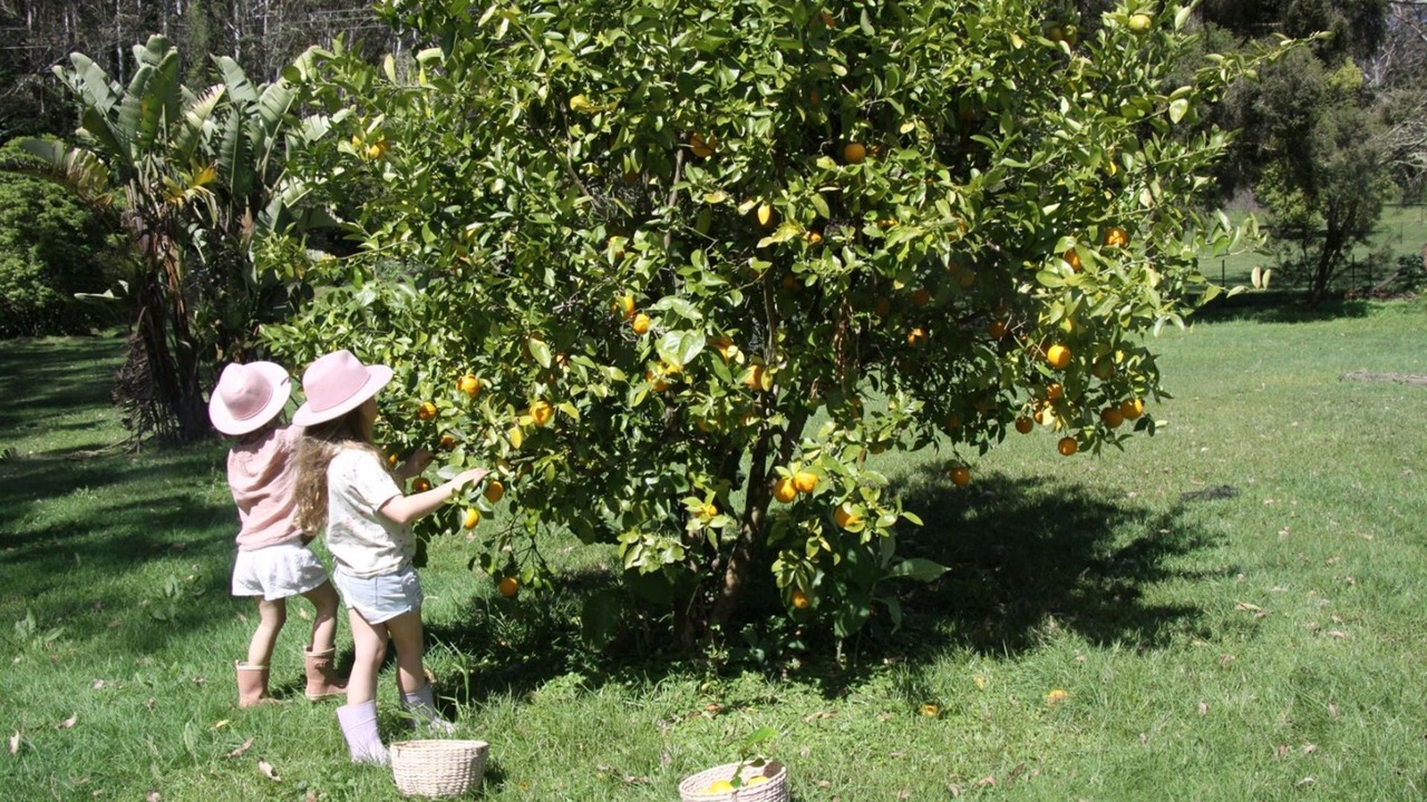 Photo of Outdoor in Kangaroo Valley