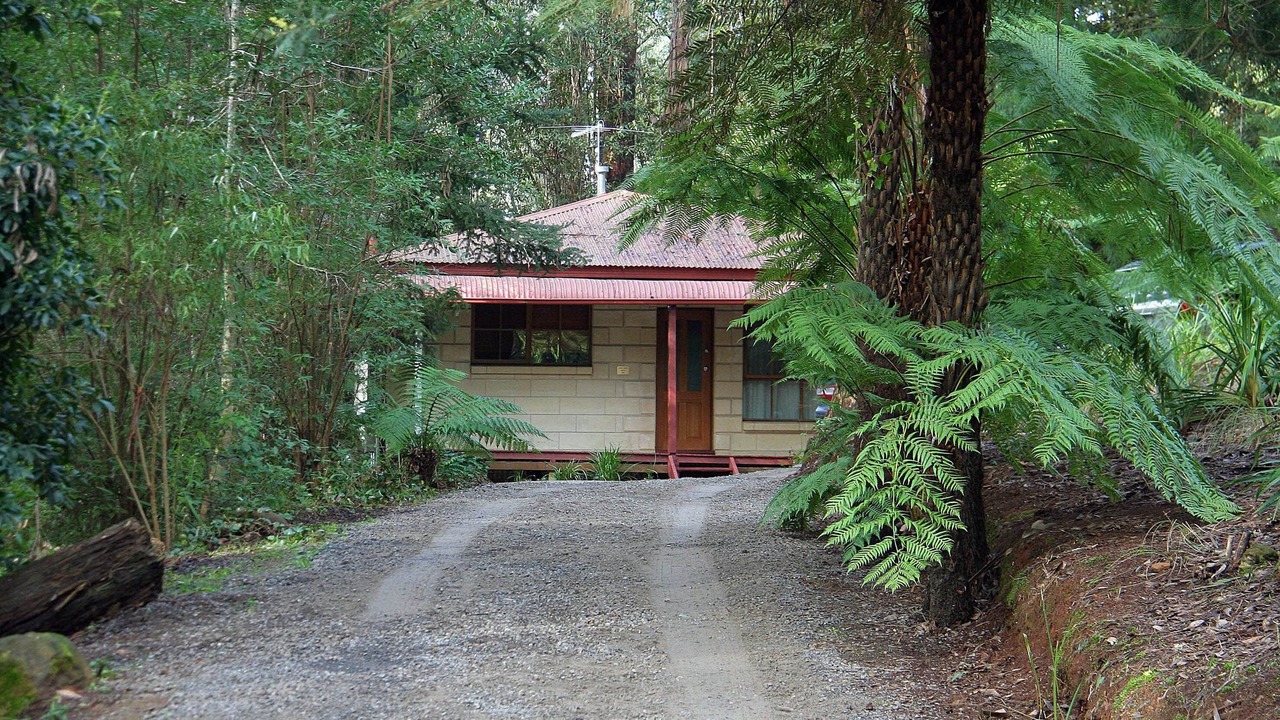 Photo of Others in Mount Dandenong
