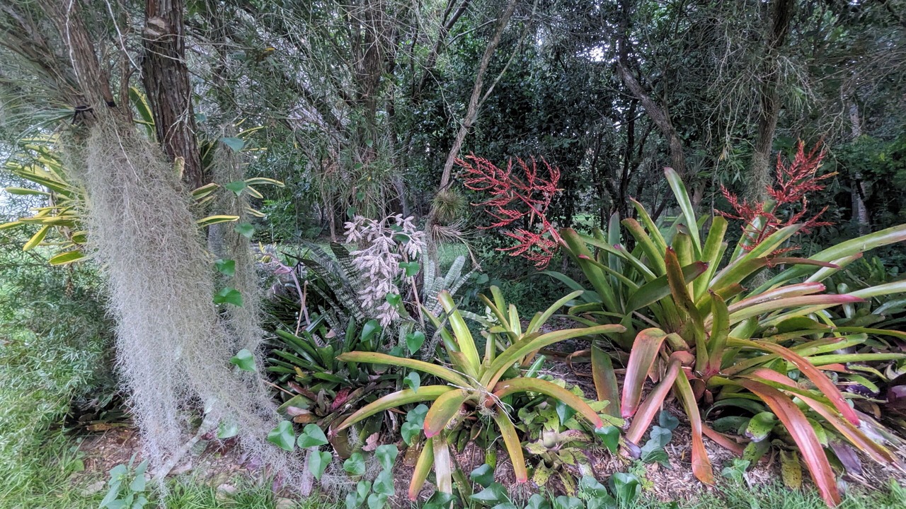Photo of Others in Beachmere