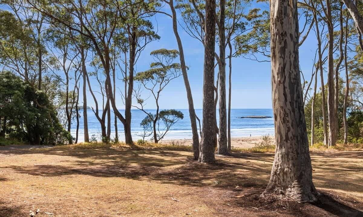 Photo of Others in Denhams Beach