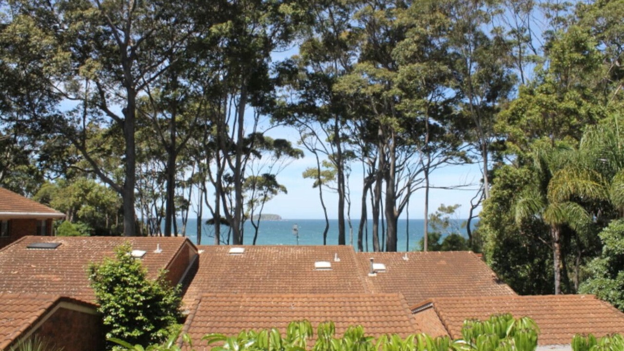 Photo of Others in Denhams Beach