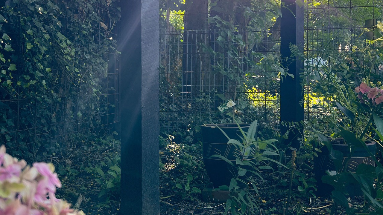 Photo of Others in Bundanoon
