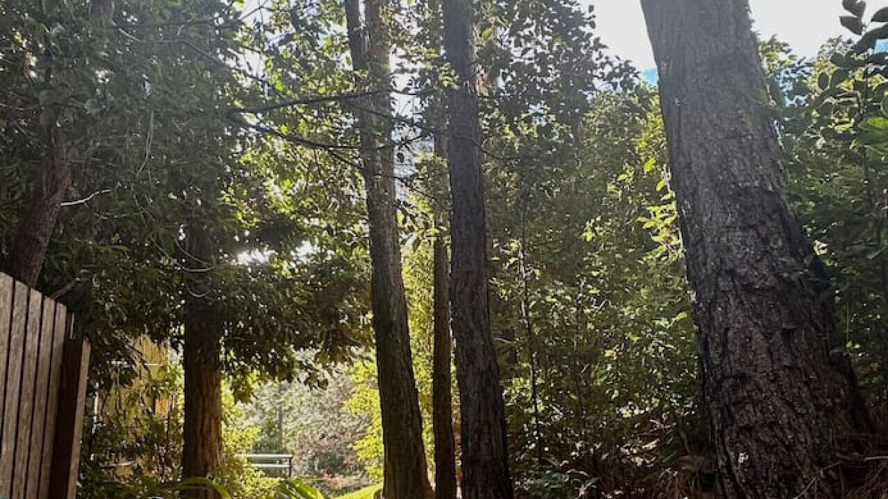Photo of Outdoor in Smiths Creek