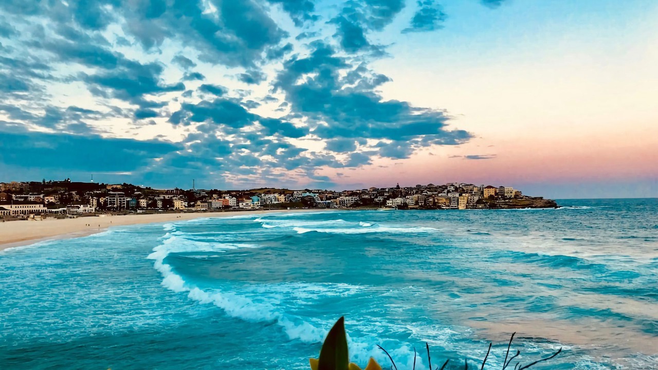 Photo of Others in Bondi