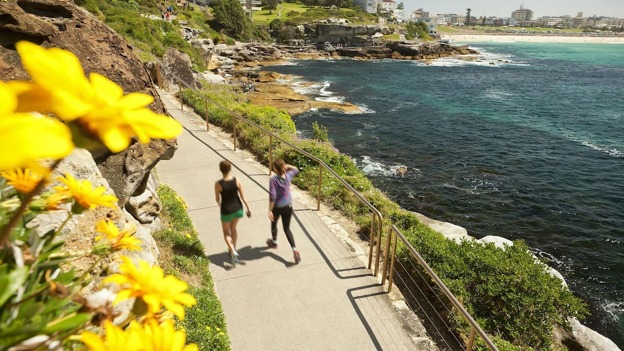 Photo of Others in Bondi