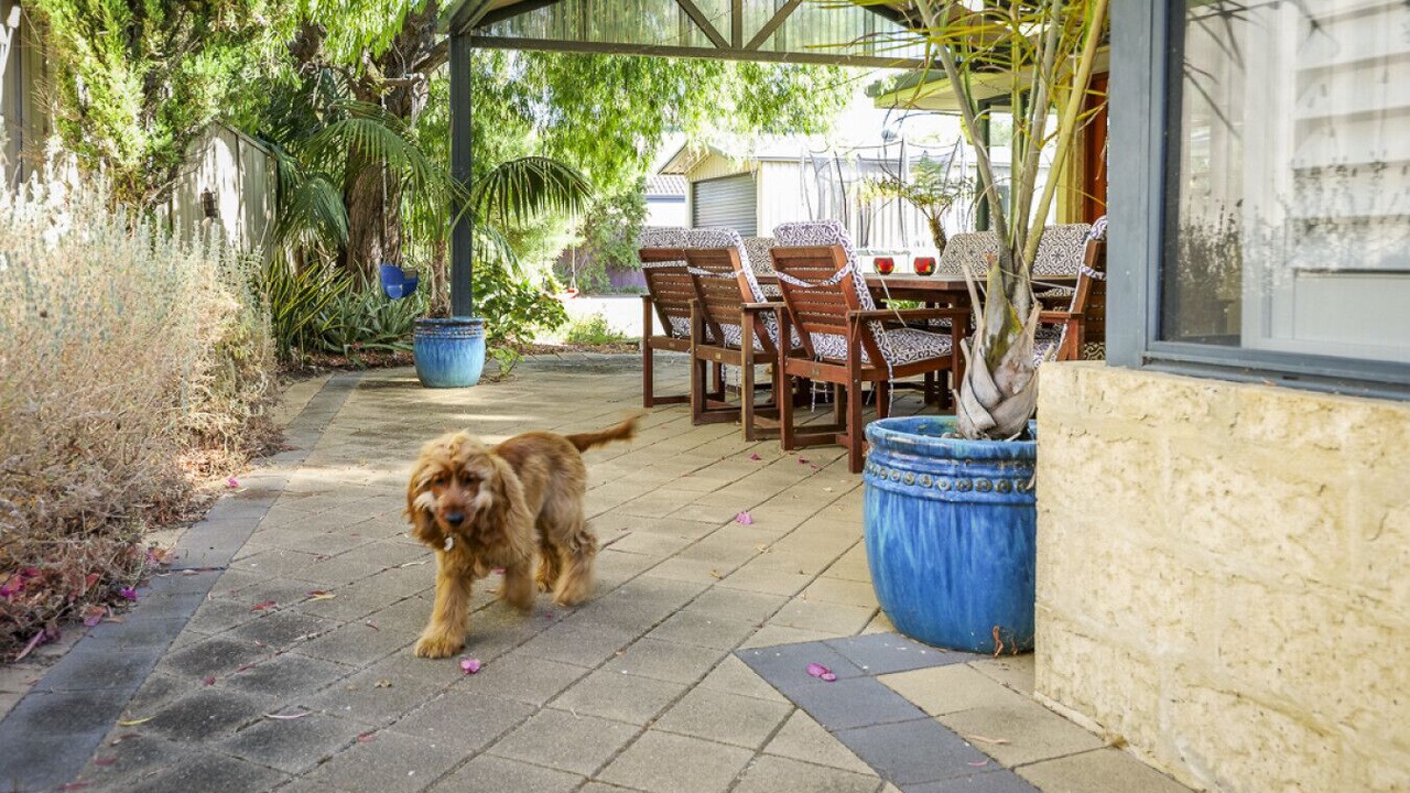 Photo of Outdoor in Geographe