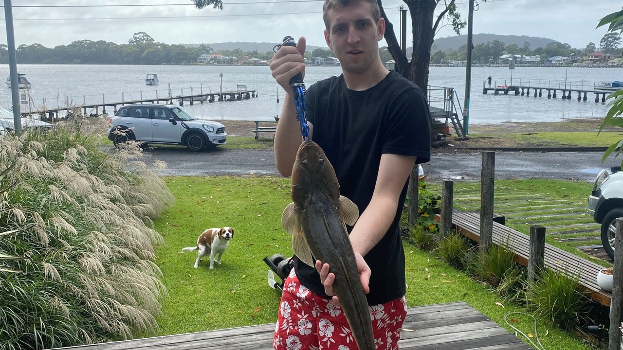 Photo of Others in Phegans Bay